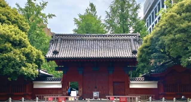 東大生講師
